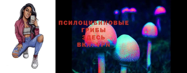 молекула духа Алзамай