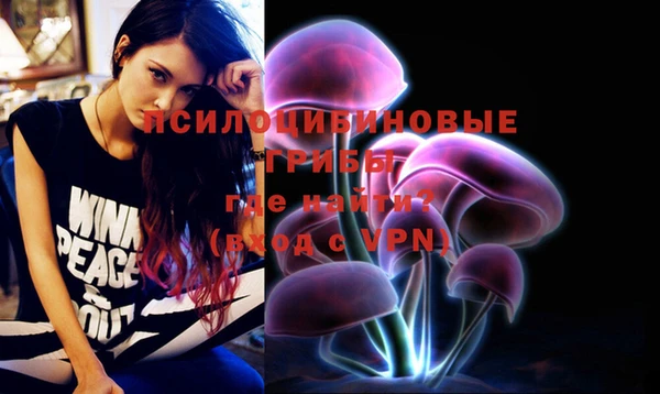 молекула духа Алзамай