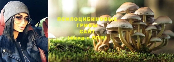 соль курить ск Алексеевка