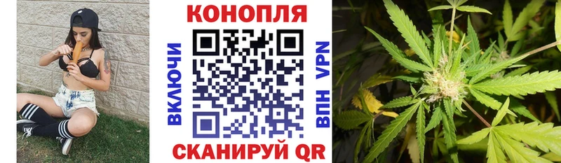 Бошки Шишки OG Kush  Берёзовский 